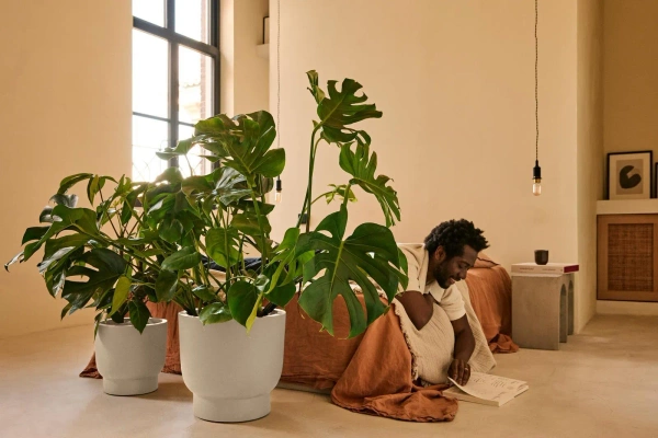 Amber Grail 38/36 donica na podwyższeniu biały len