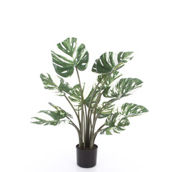 Sztuczna Monstera Variegata dziurawa biało-zielona 90 cm