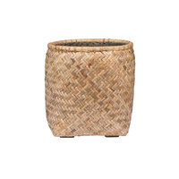 bamboo