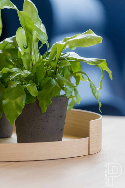 Mini Bucket M 16/15 kamienna doniczka złota metalik