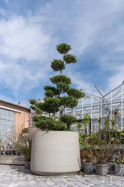 Jumbo Patt XXS 55/46 duża donica kamienna beżowa