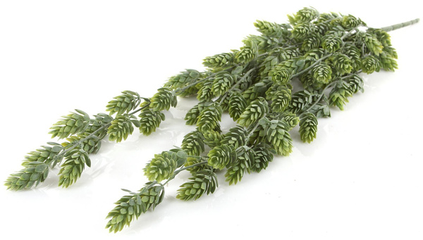 Sztuczny Chmiel wiszący pnącze 75 cm