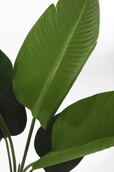 Sztuczna strelicja 120 cm 8 dużych liści