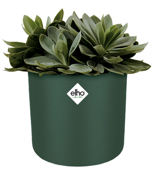 B. For Soft Round 16 cylindryczna osłonka zielona zielony liść