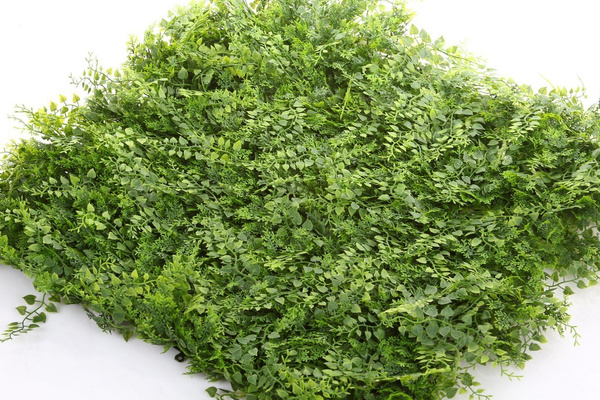 Sztuczna zielona ściana Mata Jałowiec Paproć Mix 50x50 UV wodoodporna