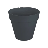 antracyt