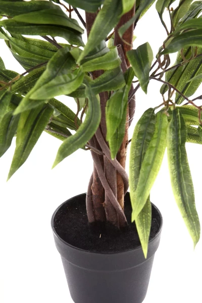 Sztuczny Fikus Amstel King 80 cm drewniane pnie