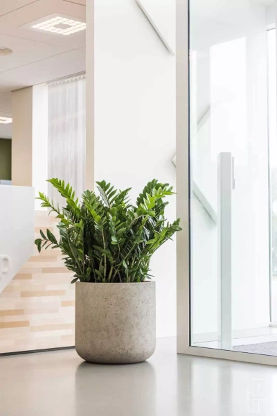 Jumbo Charlie M 84/80 beżowa duża donica kamienna