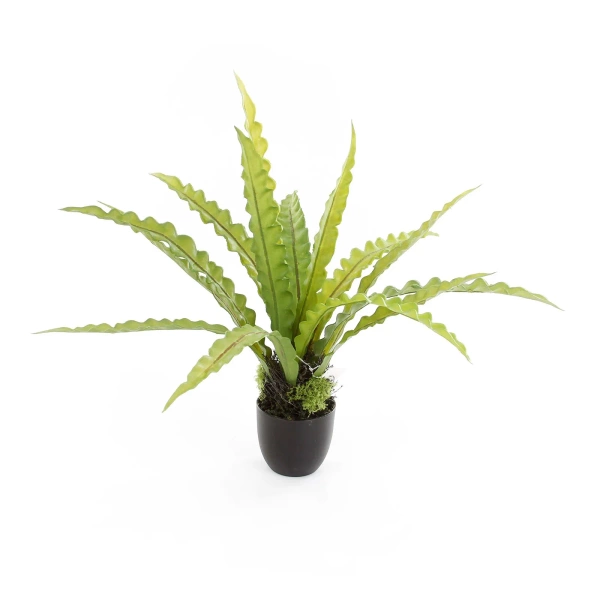 Sztuczne asplenium paproć 46 cm w doniczce