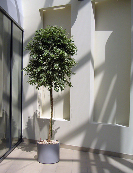 Elegance 37/37 donica cylindryczna czarna lakierowana połysk