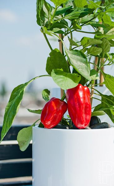 Puk M 20/20 doniczka cylindryczna biała matowa