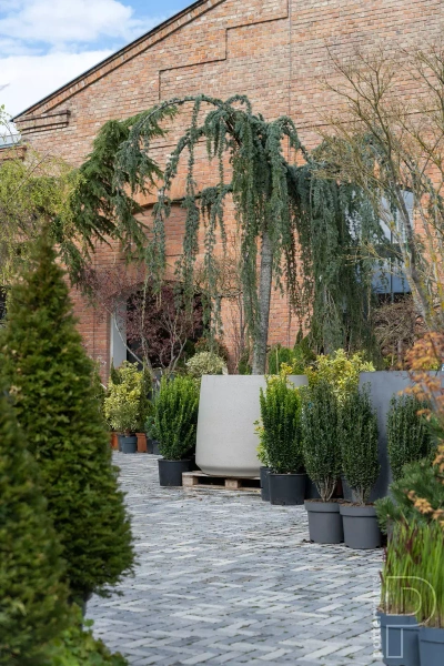 Jumbo Patt M 119/97 duża donica kamienna beżowa