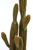 Sztuczny wysoki Kaktus Columnar 150 cm