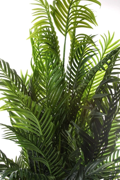 Sztuczna palma Areka 220 cm 13 łodyg gęsta