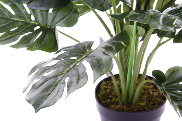 Sztuczna Monstera dziurawa deliciosa 60 cm duże liście