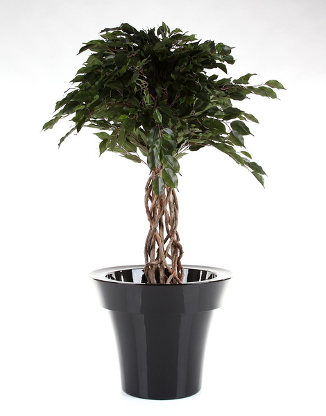 MISIA 60/48 donica okrągła czarna lakierowana