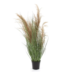 Sztuczna trawa trzcinowa gęsta 75 cm w doniczce