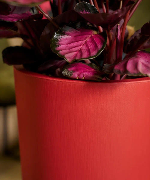 Tuit Raw 33/61 wysoka donica z wkładem brick red