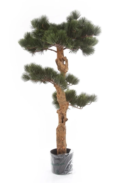 Sztuczny Bonsai Sosna Pinia 110 cm deluxe