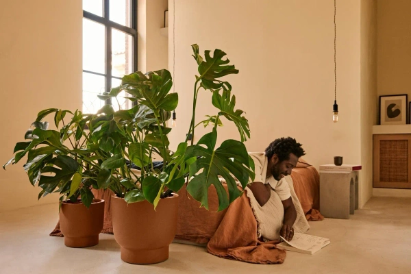 Amber Grail 30/28 karmelowa donica na stopie