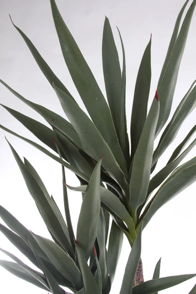 Sztuczna wysoka Dracena 180 cm