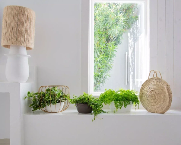 San Remo Bowl 23/11 antracytowa misa na bonsai