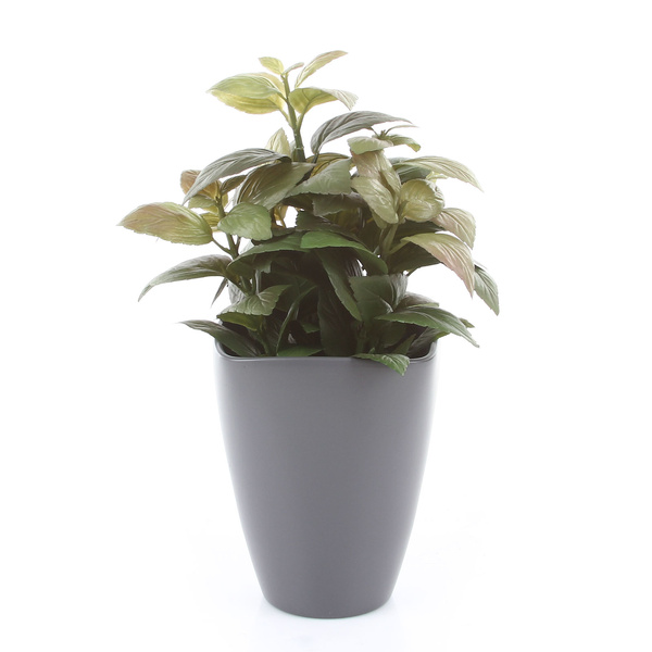 QUARTA ORCHID 13/17 ceramiczna doniczka do storczyków popielata