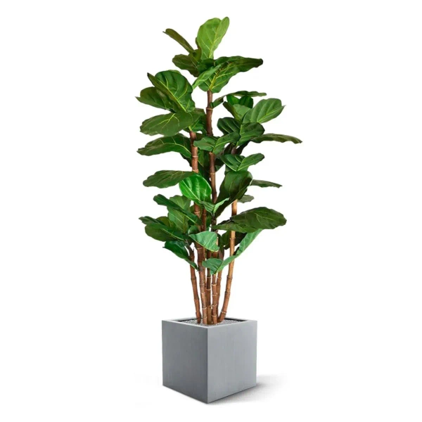 Sztuczny Fikus Lyrata 165 cm duże liście deluxe