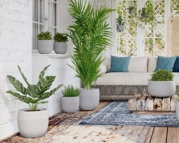 Hemera Bowl 29/14 biała osłonka na bonsai ceramiczna