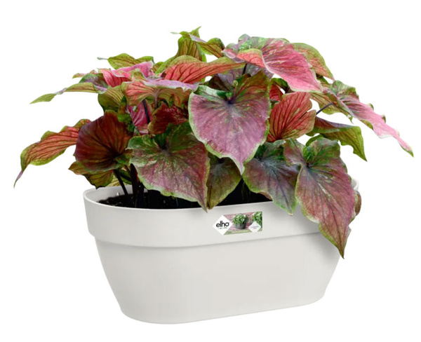 Vibia Wall Basket 35x16/15 doniczka naścienna biały silky white