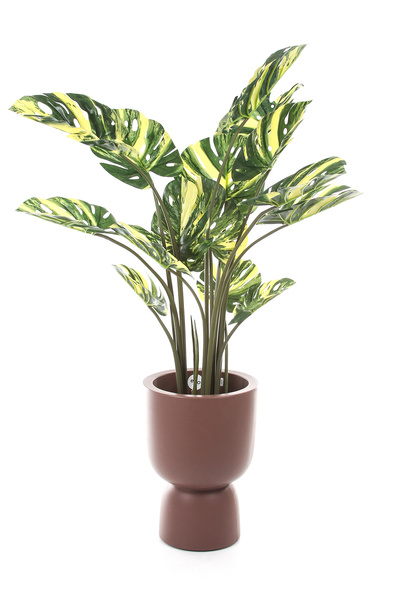 Sztuczna Monstera dziurawa Variegata zielono-żółta 120 cm