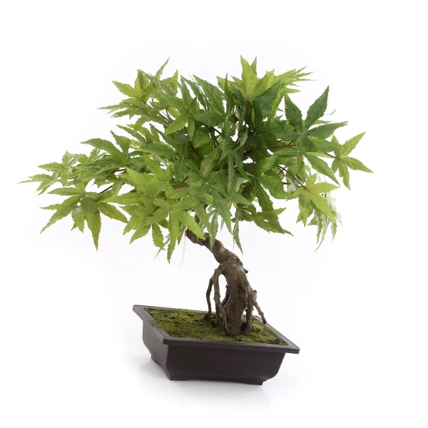 Sztuczny Bonsai Klon 50 cm zielony w doniczce