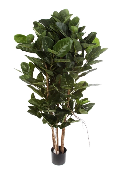 Sztuczny Fikus Audrey na drewnianych pniach 155 cm deluxe
