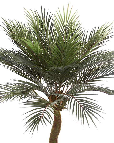Sztuczna palma Sagowiec Cycas 120 cm 24 liście