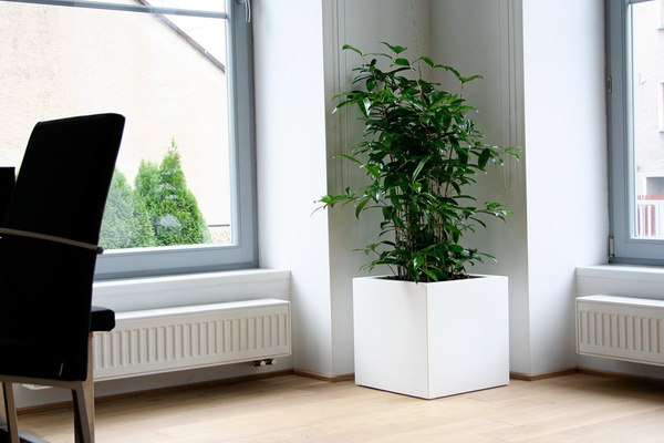 Kube 40x40/40 donica kubik niska biała