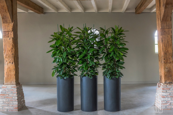 Klax M 30/60 szara donica kamienna cylinder