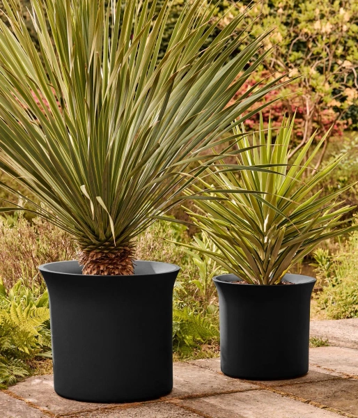 June Tulip 40 czarna osłonka do salonu