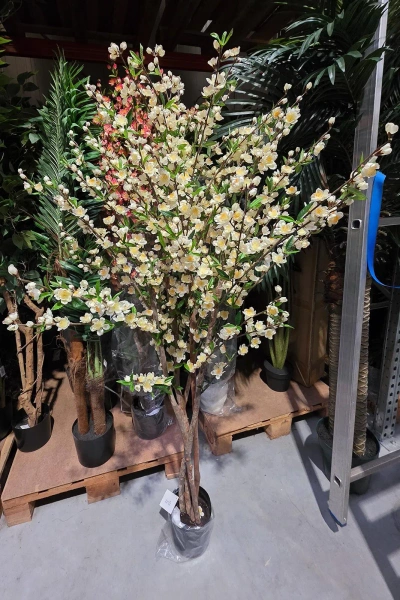 Sztuczna Wiśnia 170 cm kremowa