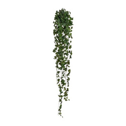 Sztuczny Bluszcz English Hedera wiszący pnącze 170 cm zielony
