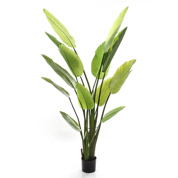 Sztuczna Strelicja nicolai wysoka 180 cm 13 liści