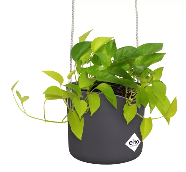 B. For Swing 18/16 antracytowa osłonka wisząca