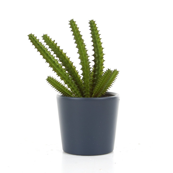 VASA 16/15 (MK13/12) osłonka ceramiczna do hydroponiki kremowa matowa