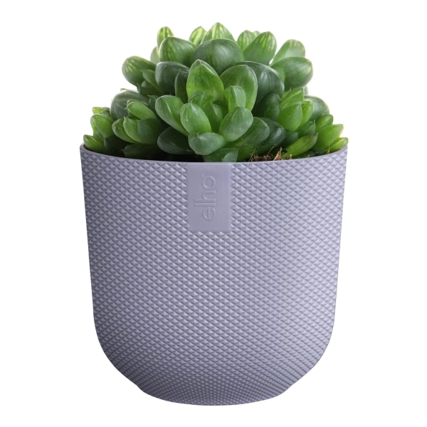 Jazz Elho 9 osłonka mini lawendowa