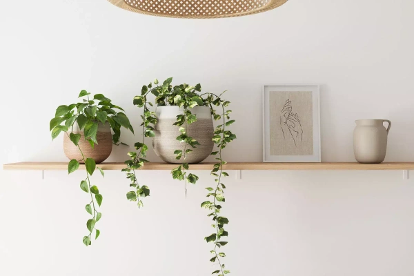 Antheia 30/28 kulista osłonka z ceramiki terakota