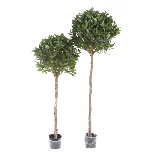 Sztuczne drzewko Laurowe De Luxe 170 cm 1406 liści