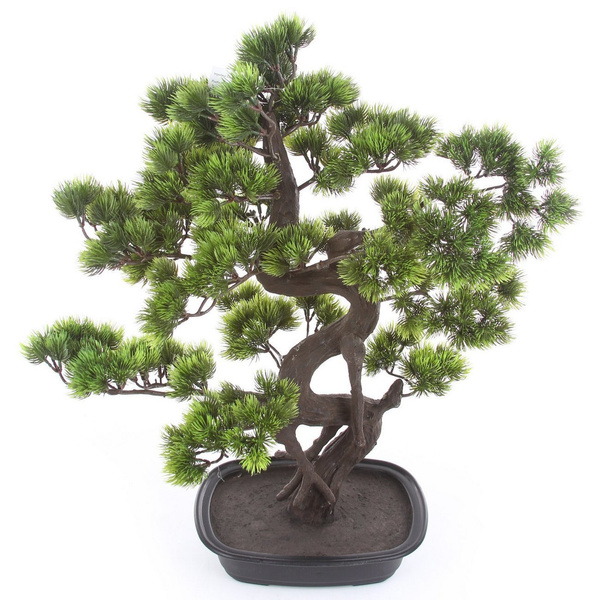 Sztuczne drzewko Bonsai Sosna Pinia 65 cm