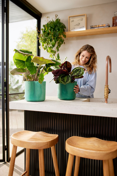 Ocean Round 18 osłonka cylindryczna zielony pacyfik