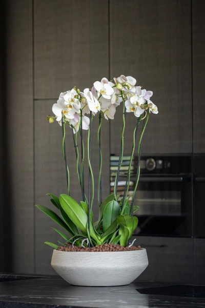 Madu M 36/12 kamienna misa na kaktusy clay washed