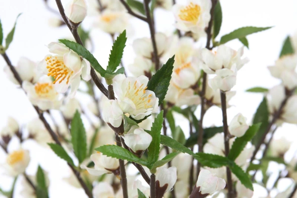 Sztuczna Wiśnia 170 cm kremowa