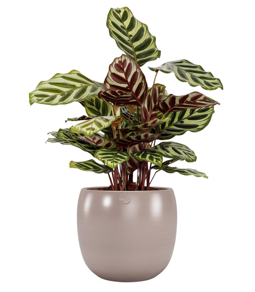 CIBELE 29/27 ceramiczna doniczka delikatny róż